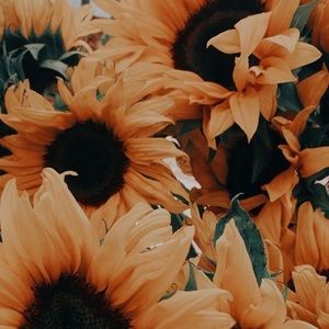 Meet your Posher, Khyla